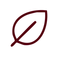 <em><strong>Slow Down</strong></em>